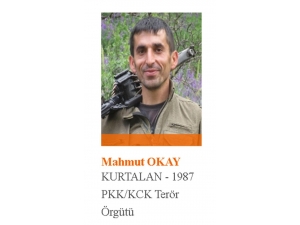 1 Milyon Tl Ödülle Aranan Teröristin Korona Virüs Testi Pozitif Çıktı