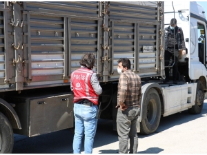 27 Buçuk Ton Kaçak Kömür İle Yakalandı, "Buğday Taşıyorum" Dedi