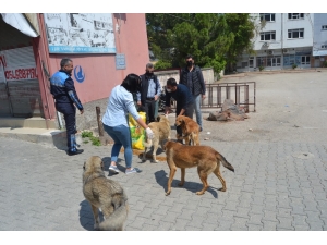 Boş Sokakların Keyfini Çıkarıyorlar