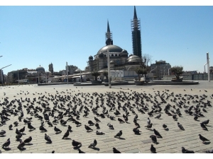 Sokağa Çıkma Yasağında Taksim Meydanı Kuşlara Kaldı