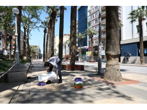 Büyükşehir Belediyesi Sokak Hayvanlarını Unutmadı