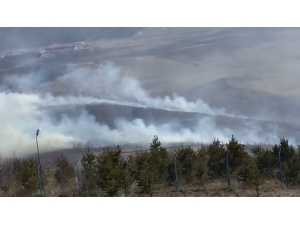 Ardahan’da Orman Yangını