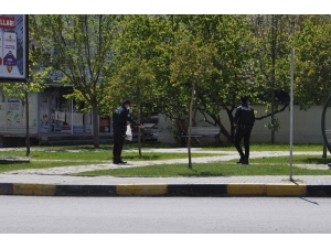 Polis Sokak Hayvanlarını Unutmadı