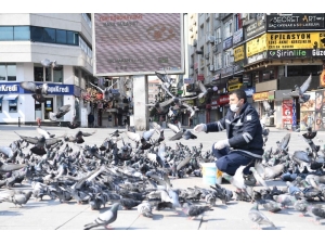 Sokak Hayvanlarına Mama Desteği