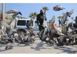 Boşalan Sahillerde Kalan Kuşlara Polisler Sahip Çıktı