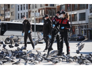 Kentin ’Güvercinleri’ De Onlara Emanet