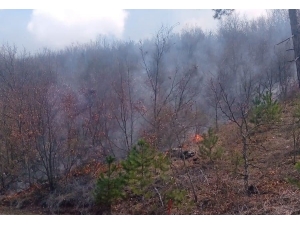 Kütahya Emet’te Orman Yangını