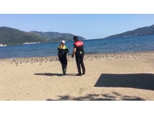 Marmaris Polisi Sokak Hayvanlarını Unutmadı