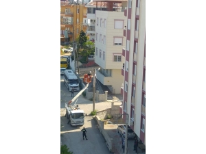 Camdan Silkelediği Halı, Elektrik Direğine Asılı Kaldı