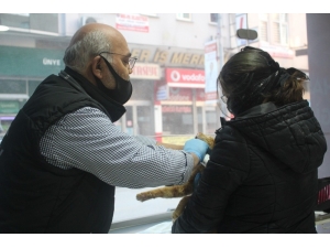 Kapısına Gelen Kedi İçin Sokağa Çıktı