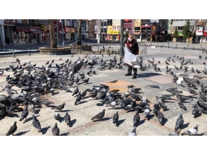 Meydanları Mesken Tutan Güvercinleri Polisler Besledi