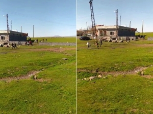 Jandarmayı Karşılarında Gören Gençler Nereye Kaçacağını Şaşırdı