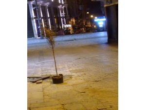 Taksim’de Yasak Sonrası Tom Jerry Çizgi Film Gerçek Oldu