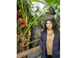 Amazon Ormanları Alarm Mı Veriyor