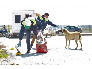 Tepebaşı Sokak Hayvanlarını Beslemeye Devam Ediyor