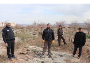 Evinden Çıkamayan Yaşlı Amcanın Bağını Budadılar