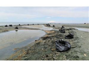 Van Gölü Sahillerinde 100 Ton Atık Çöp Toplandı