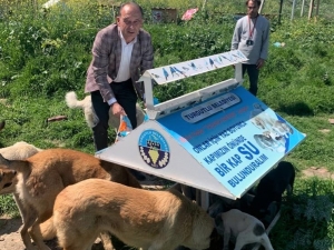 Turgutlu Belediyesi Sokak Hayvanlarını Unutmadı