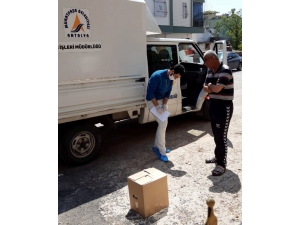 Muratpaşa Belediyesi Sahada