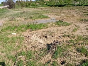 Gercüş’te Sağanak Yağış Ekinlere Zarar Verdi