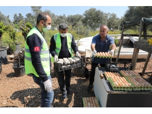 5 Bin Yumurtayı Ücretsiz Dağıttı