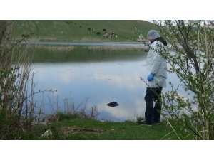 Kayıp Şahsın Cansız Bedeni Gölette Bulundu