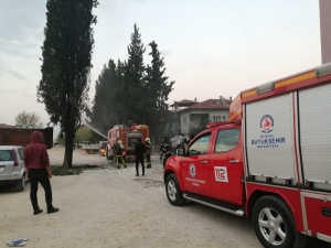 Yol Ortasındaki Ağacı Ateşe Verdiler