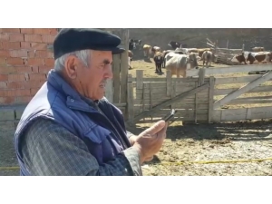 Kaymakamlığın Yardım Hattını Aradı, Söyledikleri Görevlileri Şaşırttı