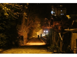 Şehre İnan Ayılar Ortalığı Birbirine Kattı