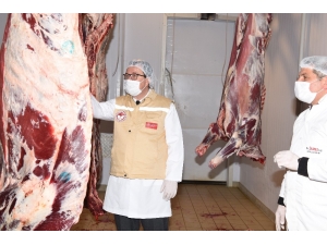 Balıkesir Etine Mezbahalarda Korona Denetimi