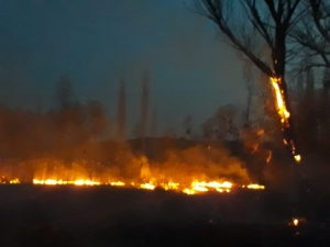 Yanan Otlar Ormana Sıçramadan Söndürüldü