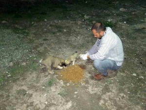 Sincan’da Her Gün 15-25 Bölgeye Mama Ve Su Bırakılıyor