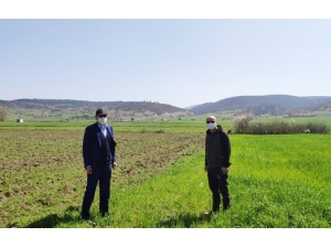 Tavşanlı İlçe Tarım Müdürlüğü Faaliyetlerine Devam Ediyor