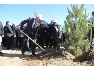 Tuşba Belediyesinden ‘Model Ceviz Bahçesi’ Projesi
