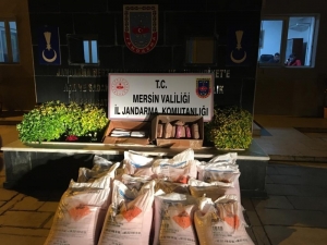 Kamyonette 20 Kilo Dinamit Ele Geçirildi