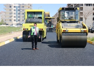 Bağlar Belediyesi Korona Virüs Tedbirlerini Alarak Asfalt Çalışmalarına Başladı