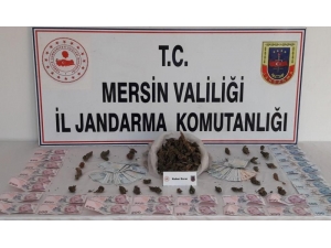 Uyuşturucu Satan 2 Kişi Gözaltına Alındı