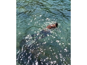 Soğuk Hava Ve Koronaya Aldırış Etmeden Denize Girdi