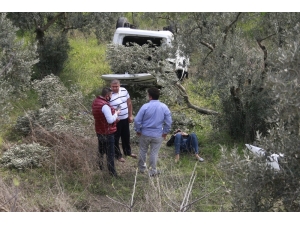 Bariyerlere Çarpıp Zeytinliğe Uçtu