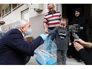 6 Yaşındaki Çocuğa Belediye Başkanı Muhabbet Kuşu Hediye Etti
