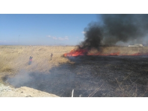 Van Gölü Kenarındaki Sazlık Alan Alev Alev Yandı