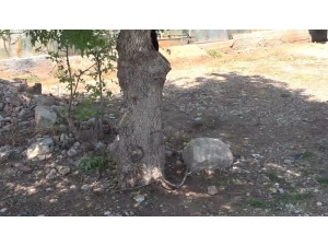 Antalya’da 10 Yaşındaki Çocuğun Feci Ölümü