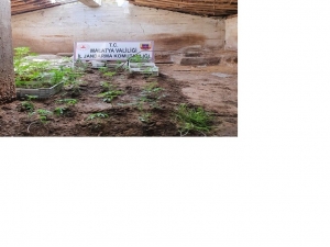 Malatya’da Yasa Dışı Kenevir Ele Geçirildi