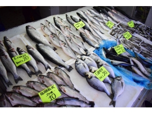 Denizlerde Av Yasağı Başlıyor