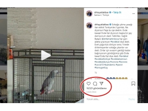 Papağandan “Evde Kal” Çağrısı