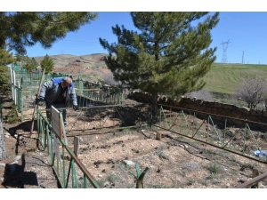 Bünyan Belediyesi Mezarlıklarda Bakım Ve Temizlik Çalışması Yapıyor