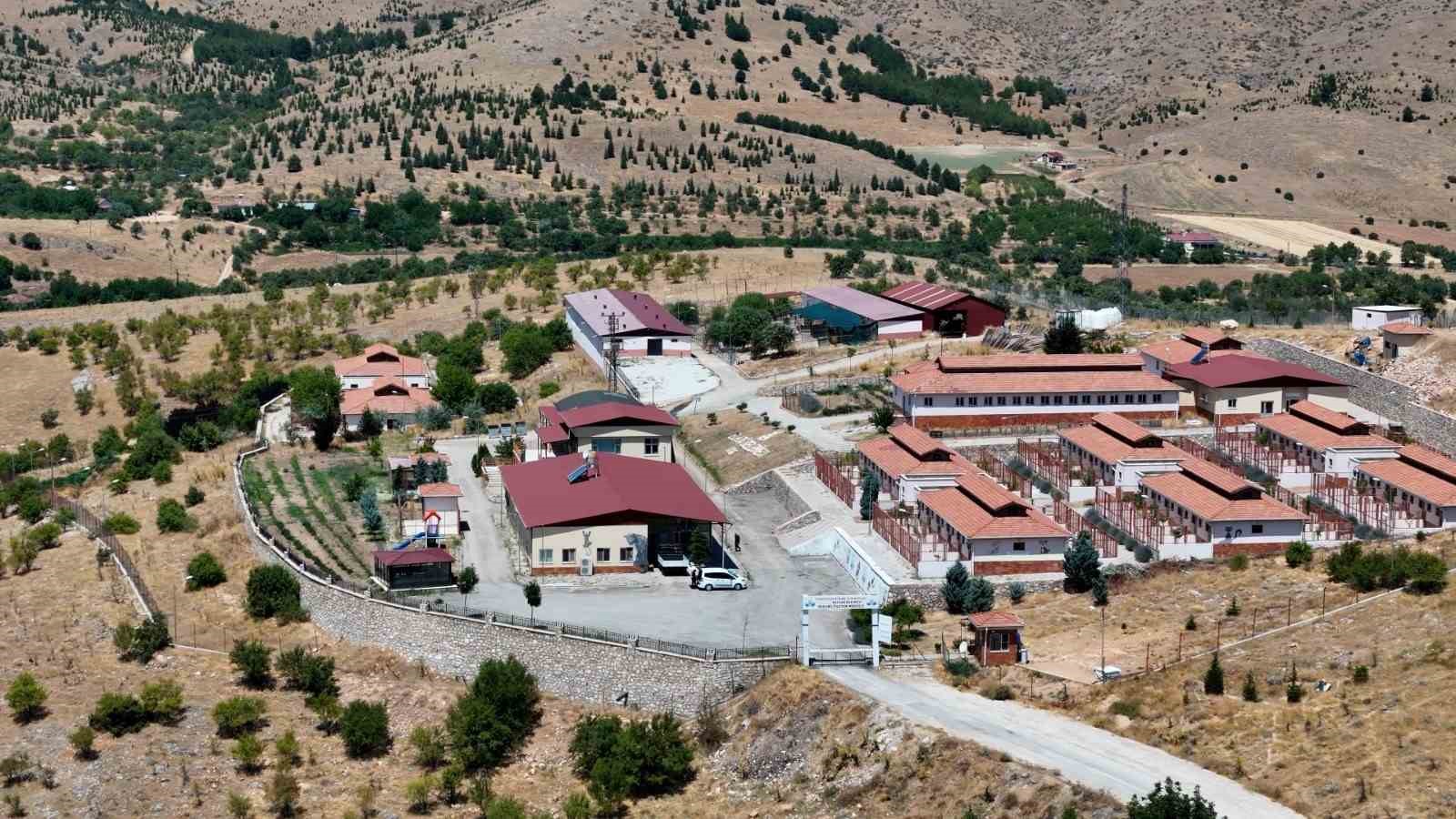 gecici-hayvan-bakimevi-ve-rehabilitasyon-merkezi-nde-15-bin-sokak-hayvani-tedavi-edildi