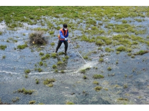 Tatvan Belediyesi Larva Üreme Noktalarını İlaçlıyor