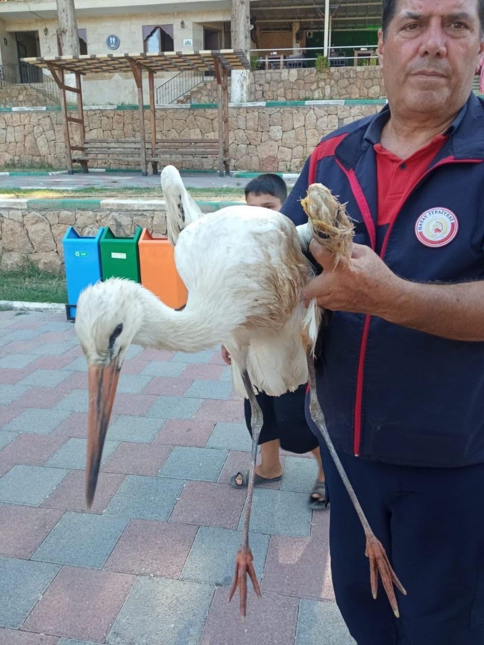 reyhanli-da-yarali-leylek-ekipler-tarafindan-kurtarildi