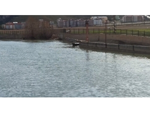 Çoruh Nehri’nde İlginç Görüntü, Yüzen Tabutlar